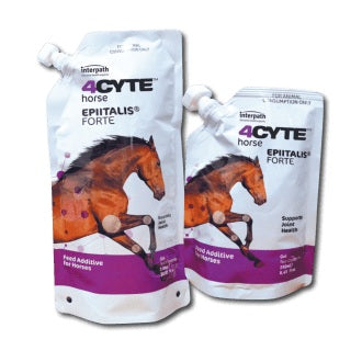4cyte Epiitalis for Horses
