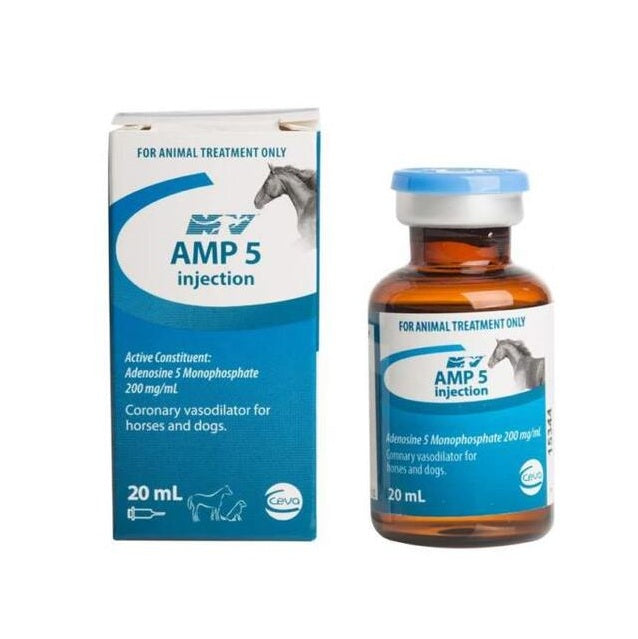 NV AMP 5 Injectable