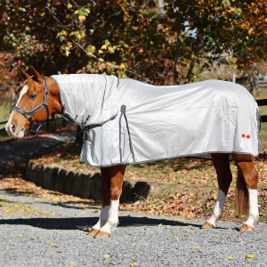 Air Combo Rug