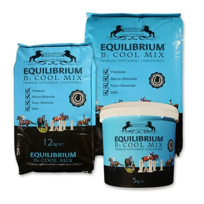 Equilibrium B1