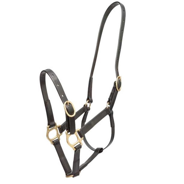 Zilco 19mm PN Halter - Full