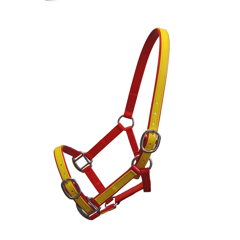 Custom Halters