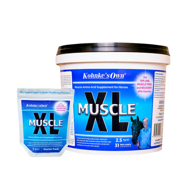 Kohnke's Muscle XL