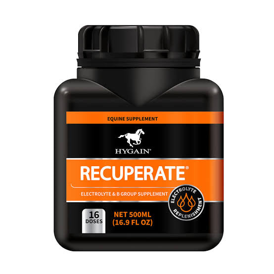 Hygain Recuperate