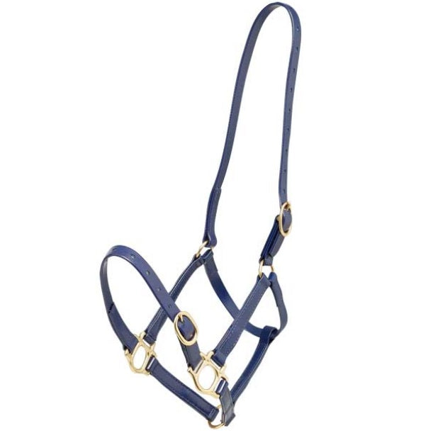 Zilco 19mm PN Halter - Full