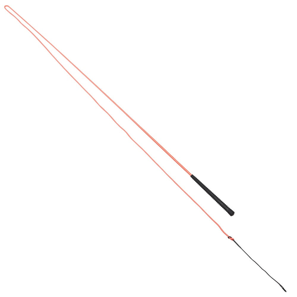 Neon Lunge Whip