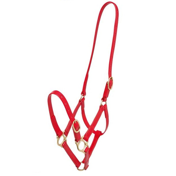 Zilco 19mm PN Halter - Full