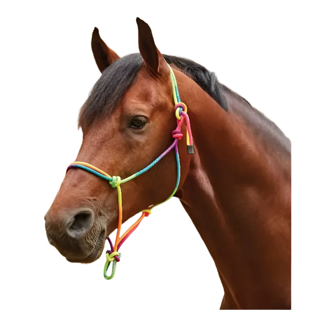 Rope Halter - Multi Colour