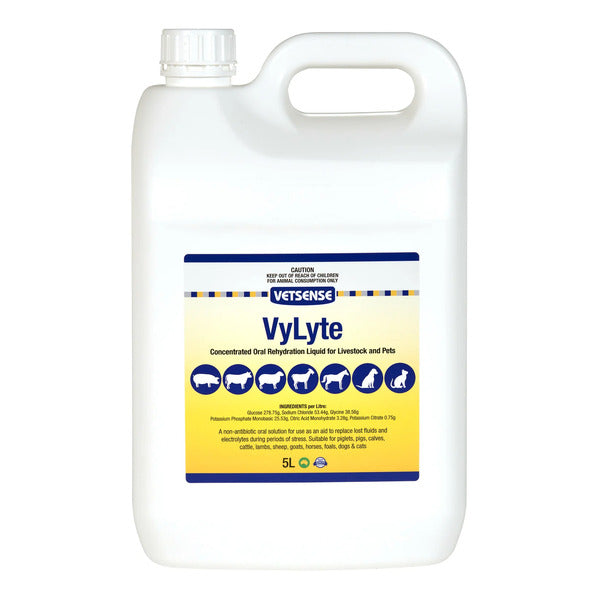 Vetsense VyLyte