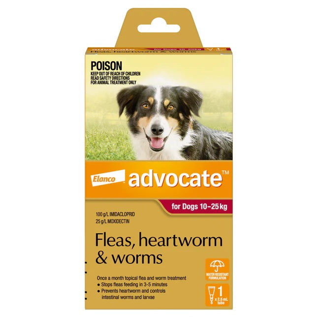 Advocate Dog