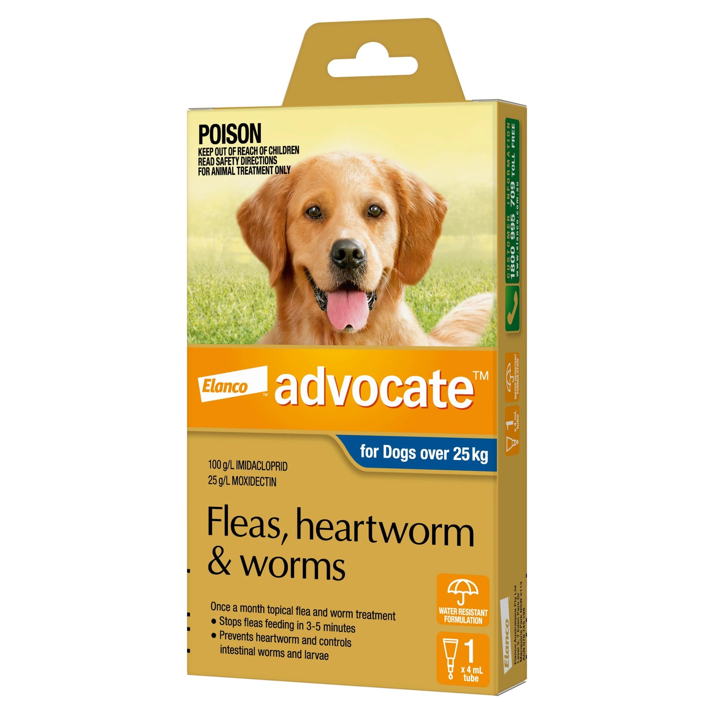 Advocate Dog