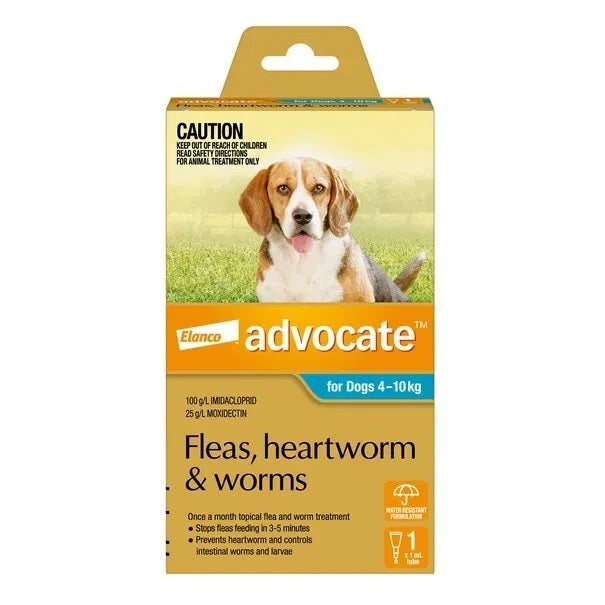 Advocate Dog