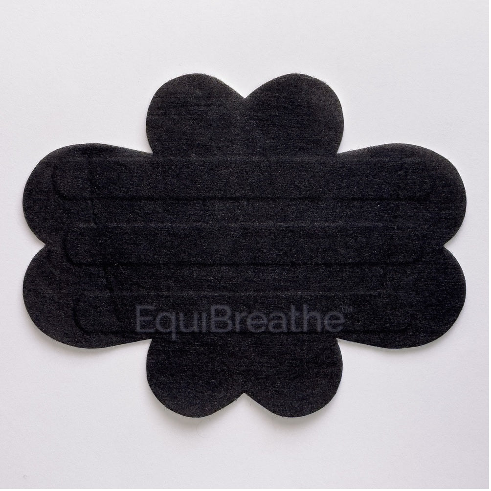 EquiBreathe
