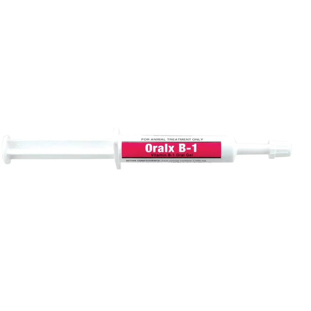 Oralx B1 Paste