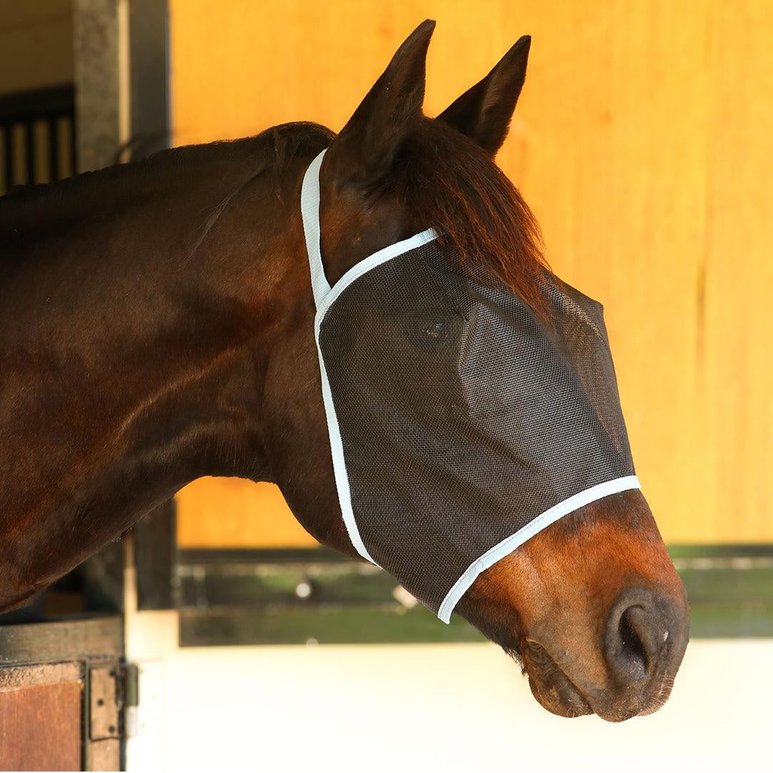 Everyday Fly Mask