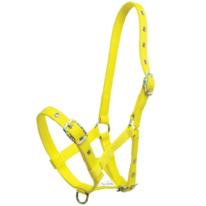 Foal Halter