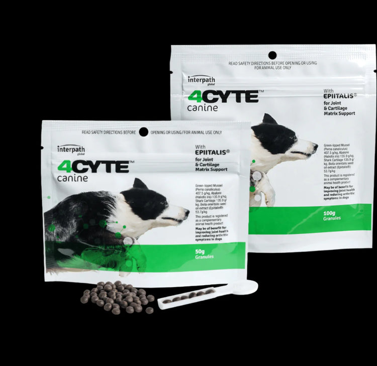 Dog and Cat - Joint Care