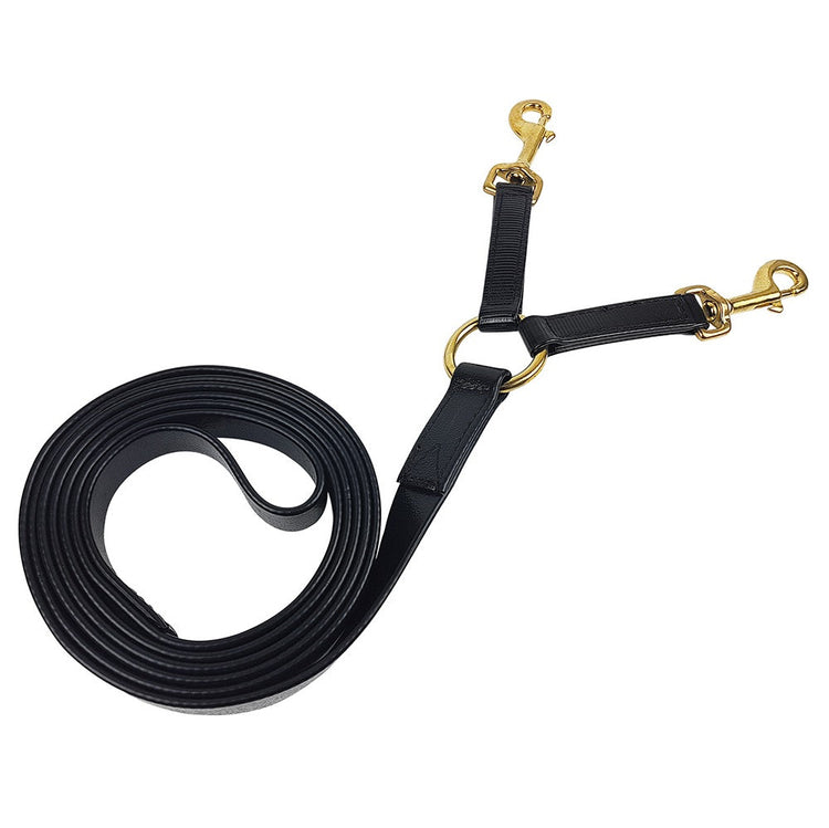 Leads