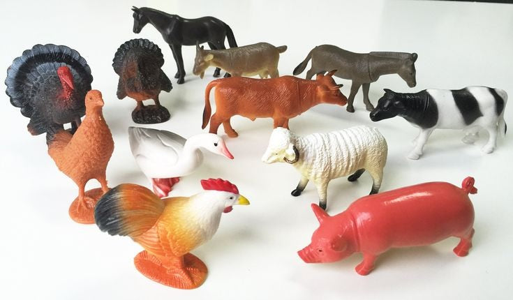 All Other Animals Large & Small