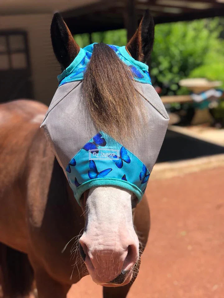 Fly Masks & Boots