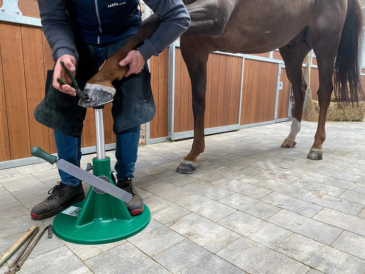 Farrier Tools