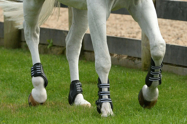 Horse Boots & Stable Bandages