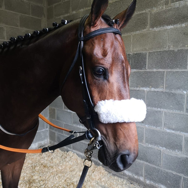 Nosebands