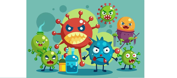 Toxin Binders