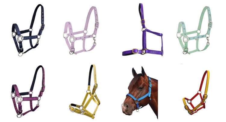 Halters