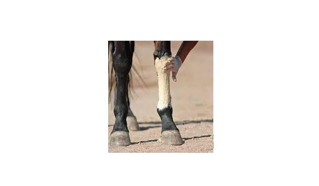Liniment and Swelling Management