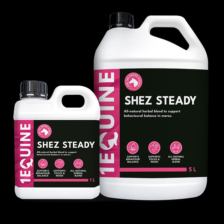 1Equine Shez Steady