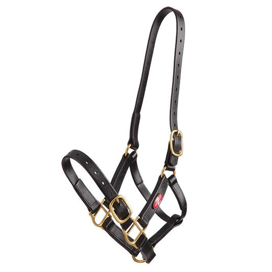 Zilco 25mm PN Halter - Full