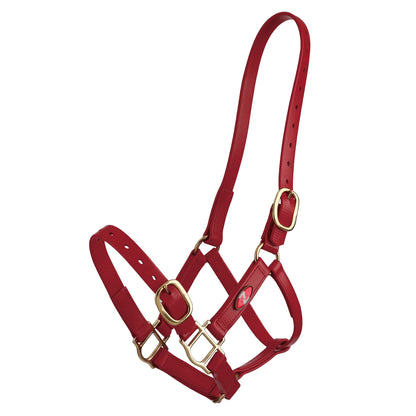 Zilco 25mm PN Halter - Cob