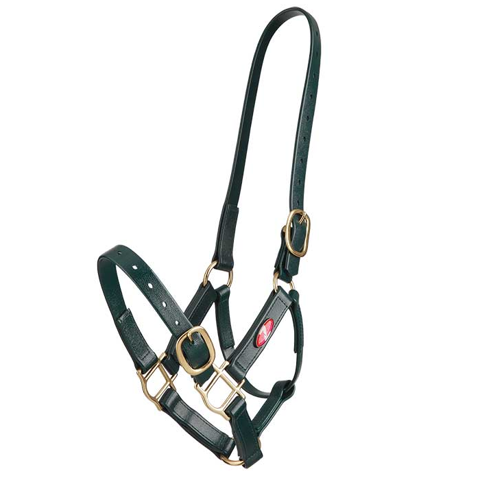 Zilco 25mm PN Halter - Cob