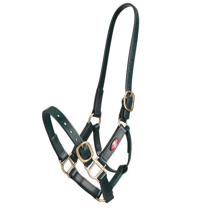 Zilco 25mm PN Halter - Cob
