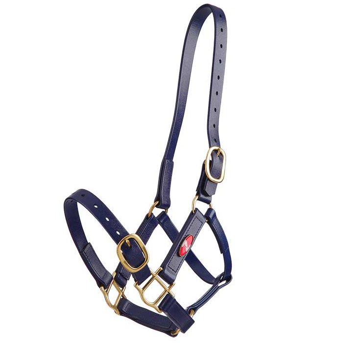 Zilco 25mm PN Halter - Cob