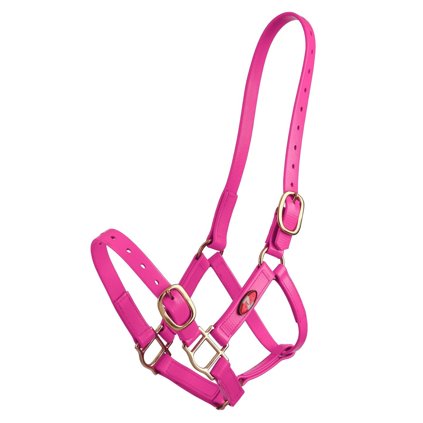 Zilco 25mm PN Halter - Cob