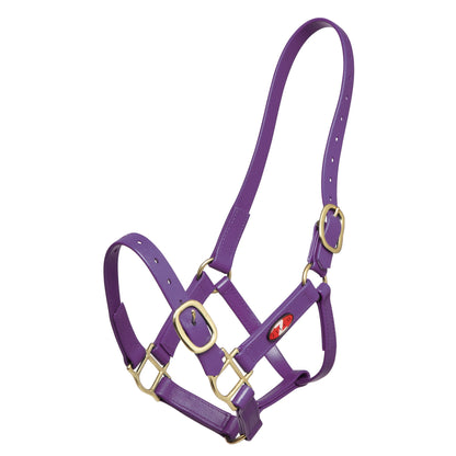 Zilco 25mm PN Halter - Cob