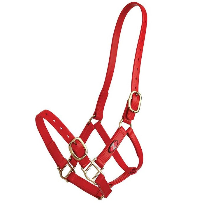 Zilco 25mm PN Halter - Cob