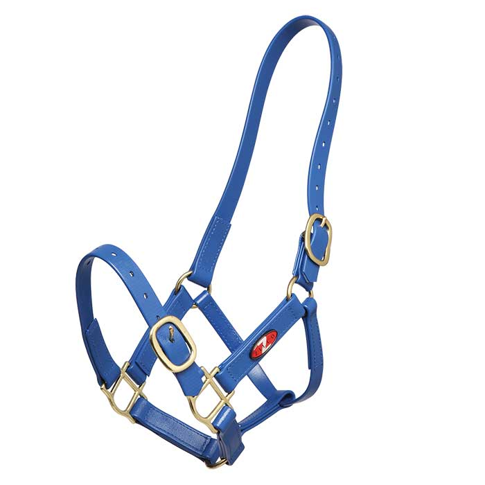 Zilco 25mm PN Halter - Cob