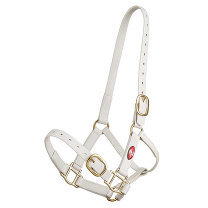 Zilco 25mm PN Halter - Cob