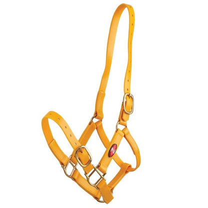 Zilco 25mm PN Halter - Cob