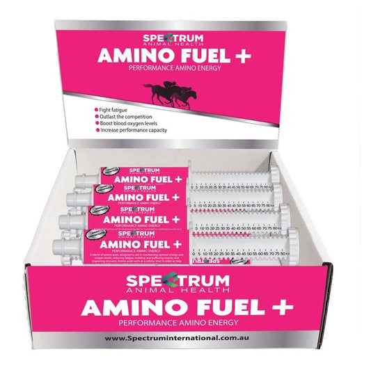 Amino Fuel +