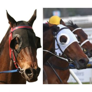 Hylands Blinkers 1/2 Cups