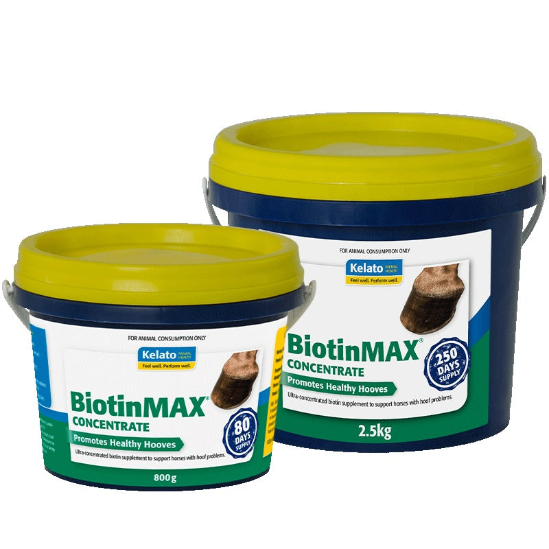 BiotinMax