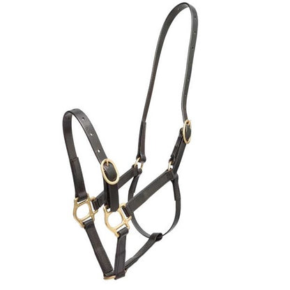 Zilco 19mm PN Halter - Cob