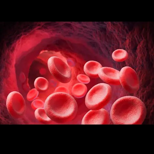 Blood Analysis