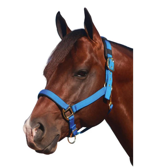 Transporter Halter