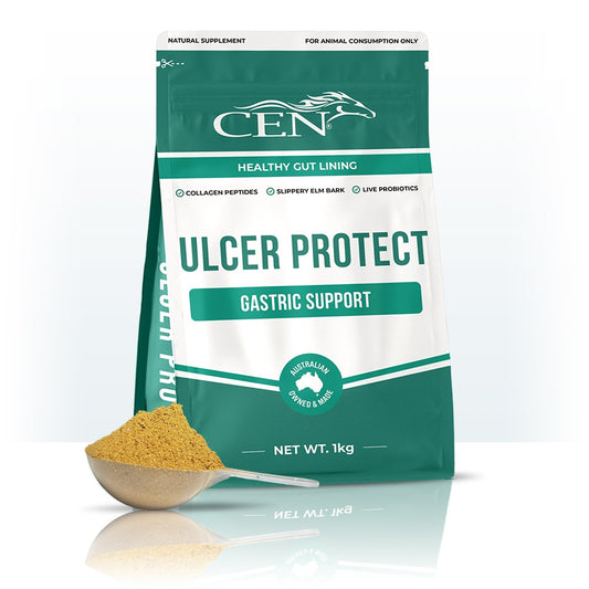 Cen Ulcer Protect