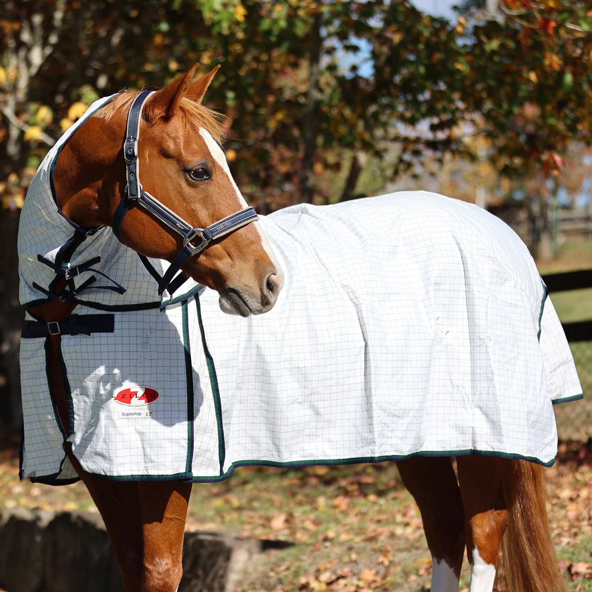 Zilco Supastop Combo Rug – Equus Performance Pty Ltd